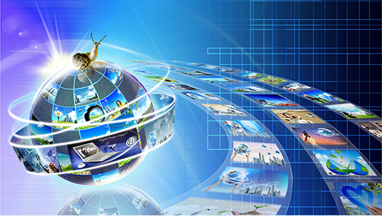 湖南省科學技術信息研究所 信息資源管理與軟件開發的雙輪驅動